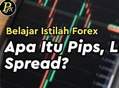 Apa Itu Rebate Dalam Trading Forex